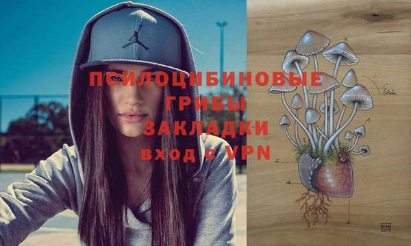 индика Покачи
