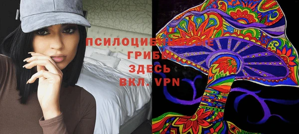 соль курить ск Алексеевка