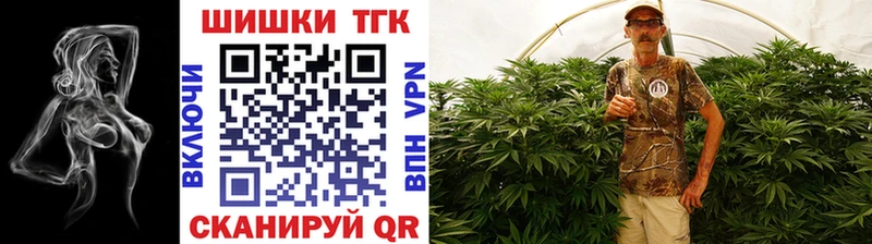 Шишки марихуана OG Kush  наркотики  Задонск 
